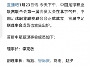 开云体育登录-中国足球职业联赛球队实力排名与成绩