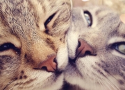 开云体育-绝杀与接管，当绿茵场的荣耀照进篮球殿堂，我们见证了什么？