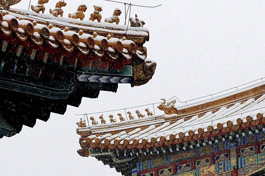 广东深圳主场战平北京故宫，保持不败的简单介绍