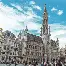 包含布鲁塞尔王国勇攀高峰，胜利在望的词条
