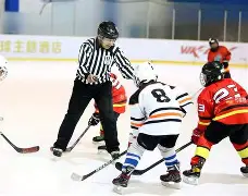 河北北方联队战胜哈尔滨鹤城汇源,实力对比瞩目,全场震撼的简单介绍 河北北方联队战胜哈尔滨鹤城汇源,实力对比瞩目,全场震撼的简单介绍