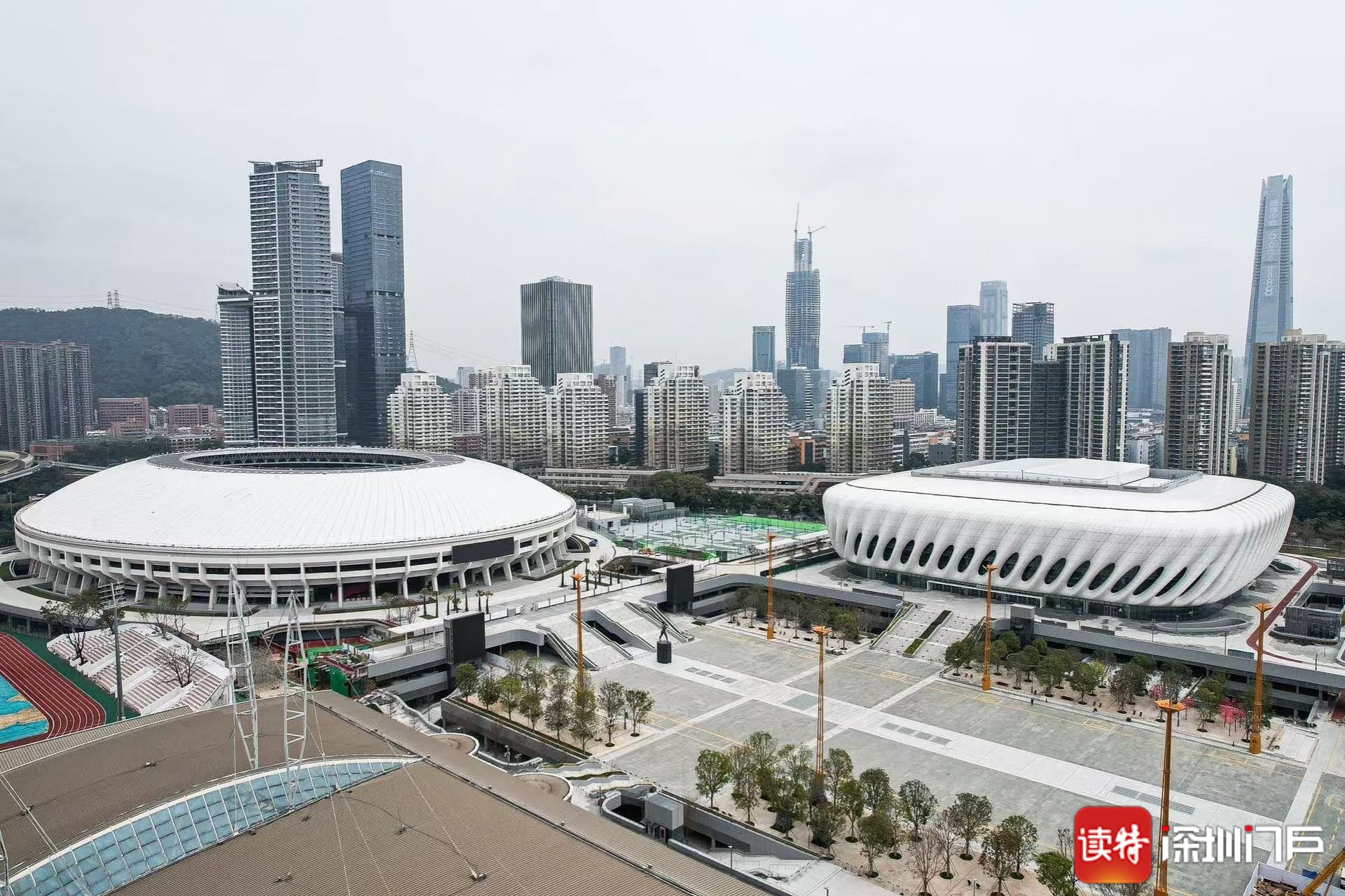 深圳佳兆业主场战胜石家庄永昌，表现亮眼