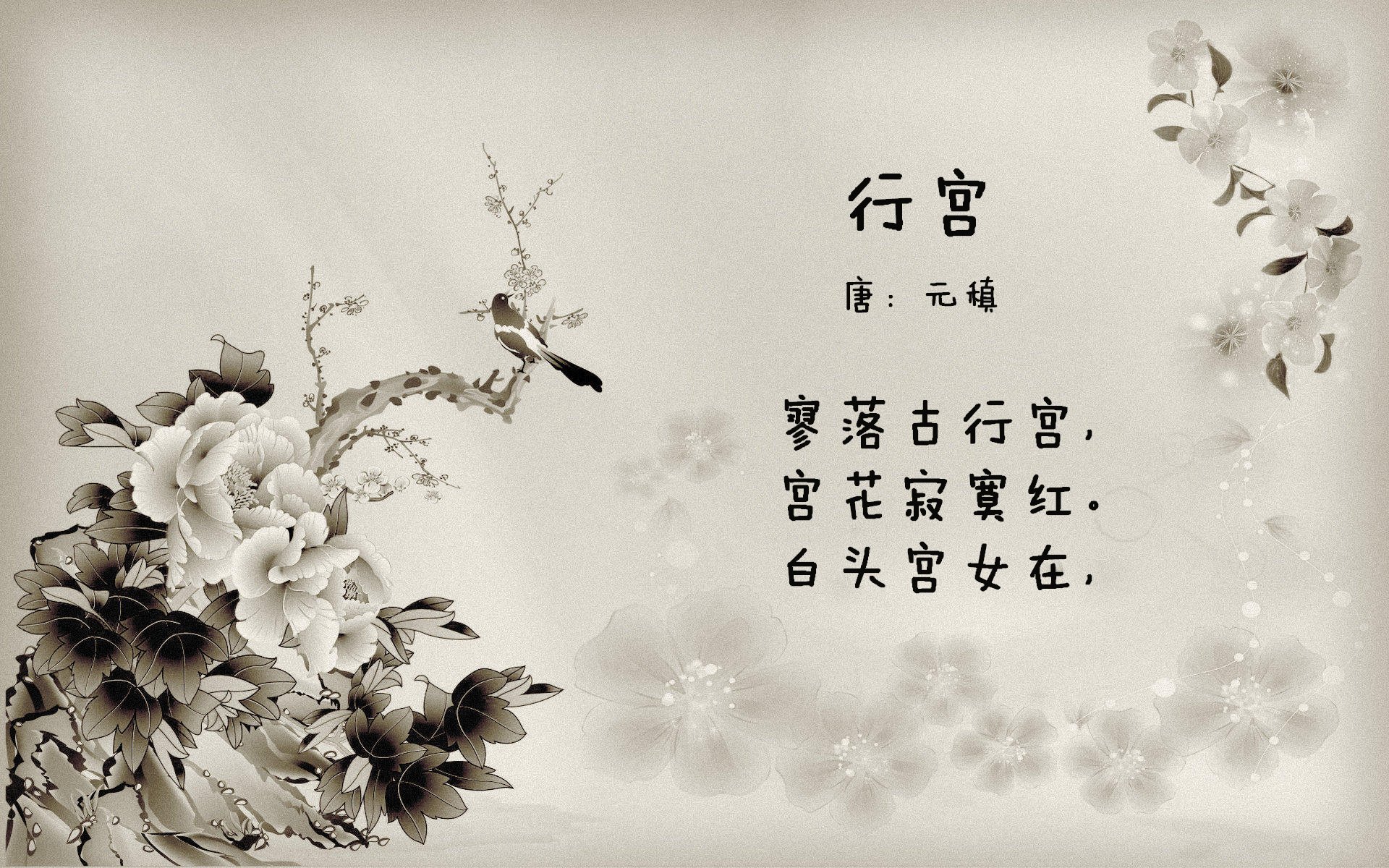 当美国队在罗马悄然亮剑，加克波在德甲风暴中写下现代足球的双面叙事