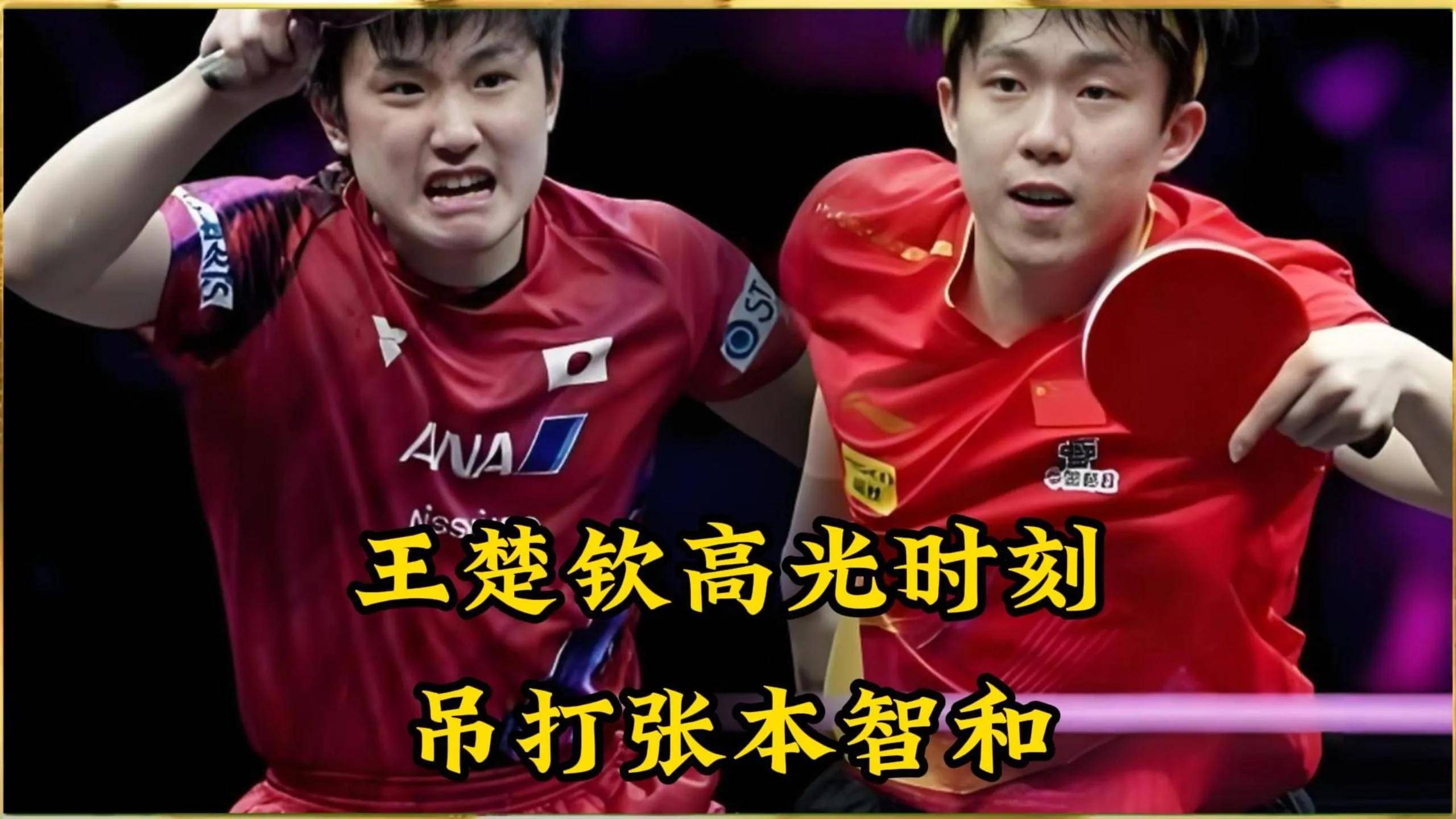 中国队险胜法国队，张本智和状态火热的简单介绍