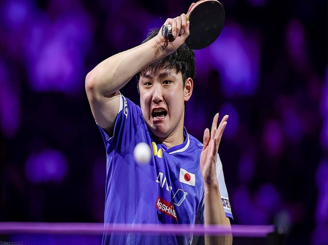 法国队险胜波兰队，张本智和统治全场